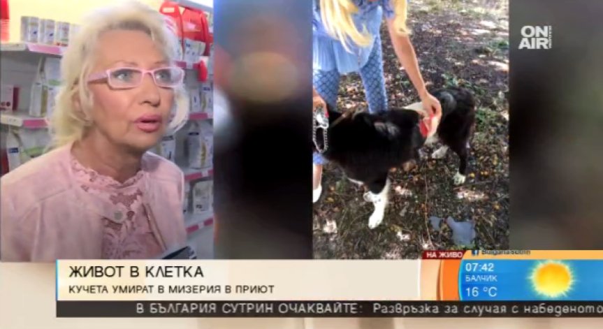 Жестокост в приюта за кучета в Горни Богров