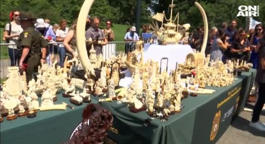В Ню Йорк унищожиха предмети от слонова кост за 10 млн. долара 