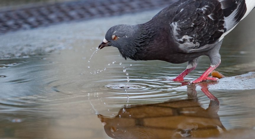 Ще духа умерен вятър от североизток.