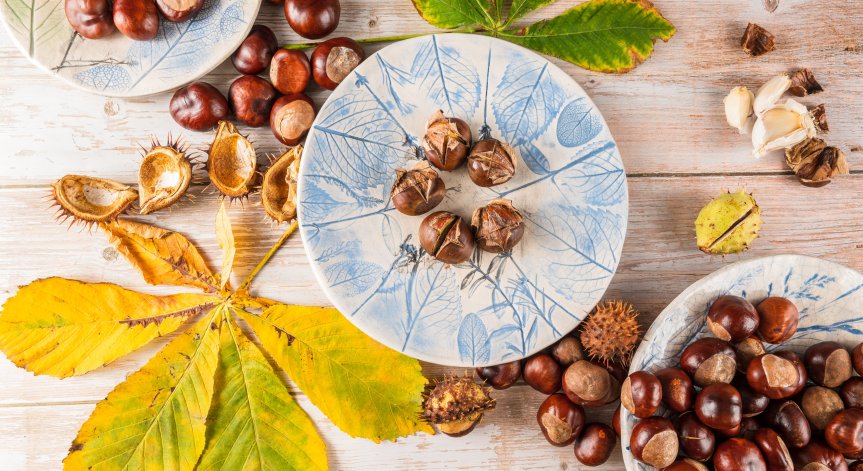 Здравословни ползи от кестените - ето защо трябва да ги включим в менюто си