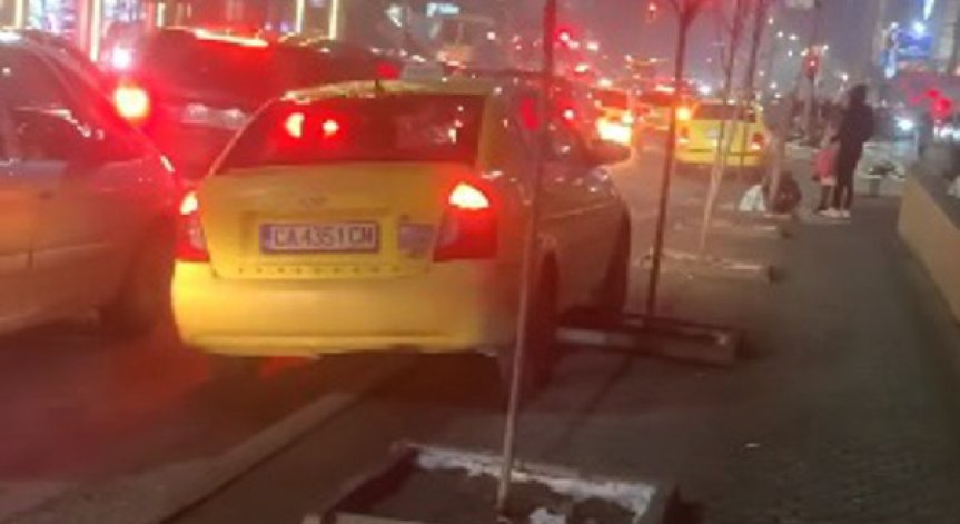 HelpBook в кадър: Такси гази новопосадени дръвчета заради задръстване 