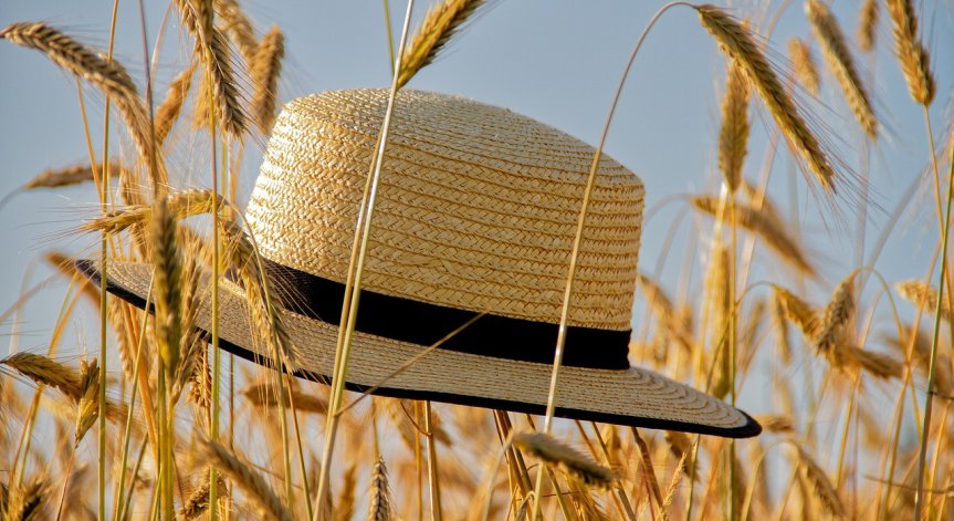 Гореща събота: Температурите на места ще достигнат 38 градуса