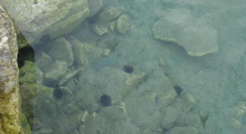 Егейско море