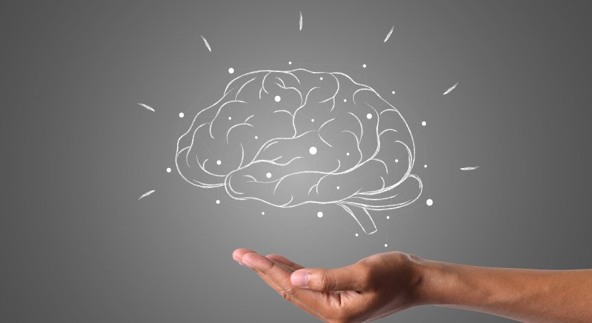 Наблюдавали невронната активност на мишки.