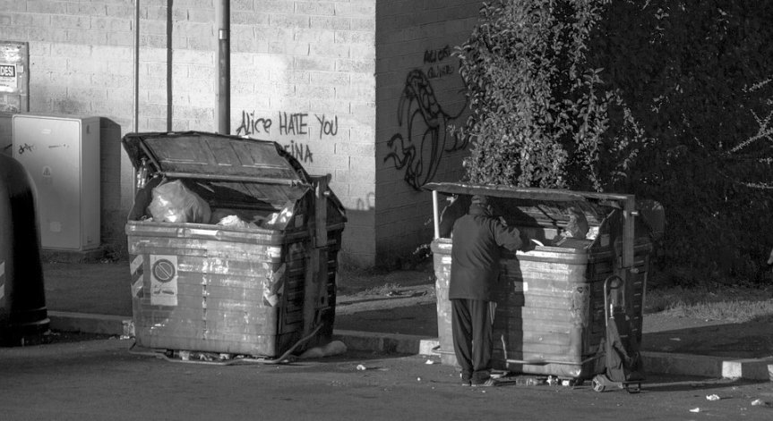 Изхвърляме 1.3 млрд. тона храна, а 800 млн. гладуват... Как да спрем разхищенията?