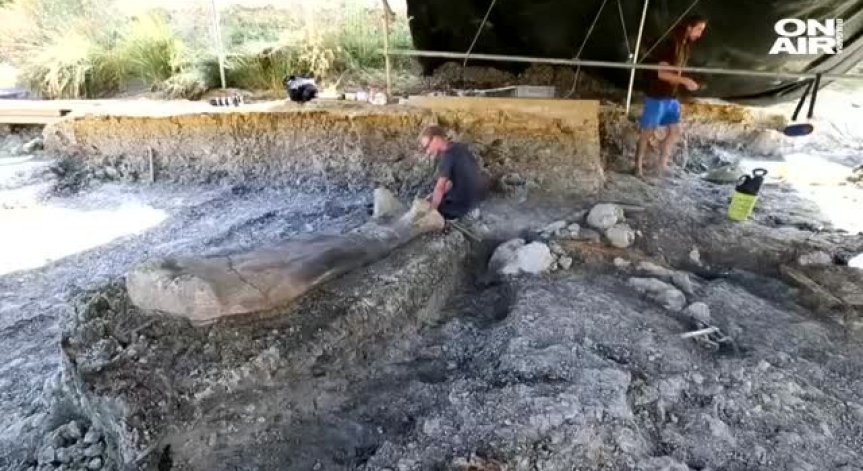 Откриха впечатляваща динозавърска кост във Франция