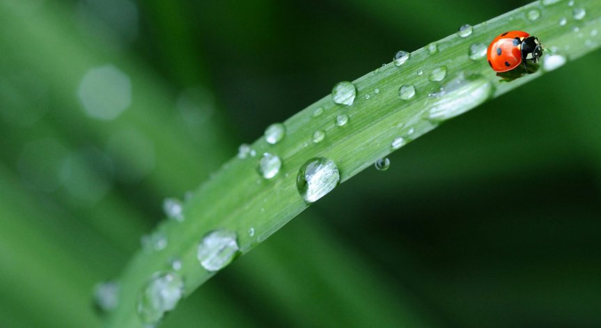 Бури и градушки на Разпети петък: Обявиха оранжев код за 7 области