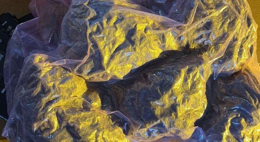 Разкриха наркооранжерия при спецакция в Бургас, задържан е 26-годишен мъж