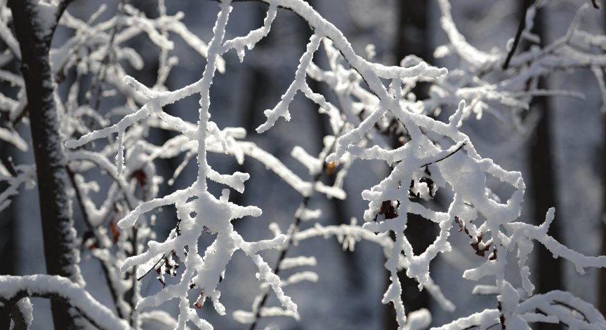 Лом потъна в бяло: Натрупана е най-голяма снежна покривка в страната