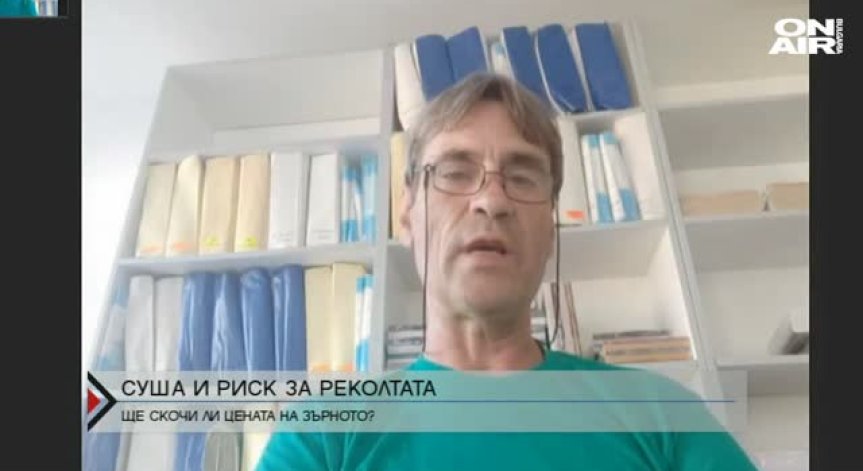 По-слаба реколта от зърно, но не очакват поскъпване на хляба