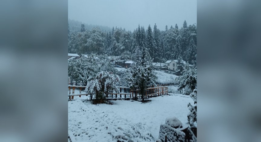 20 см сняг в Родопите, ТИР-ове блокираха АМ 