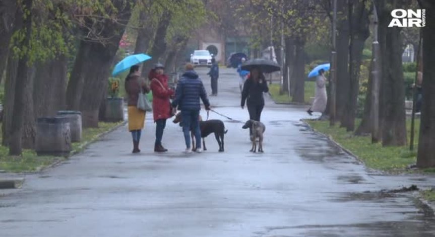 Столичният инспекторат погва собствениците на кучета – глобата до 450 лв.