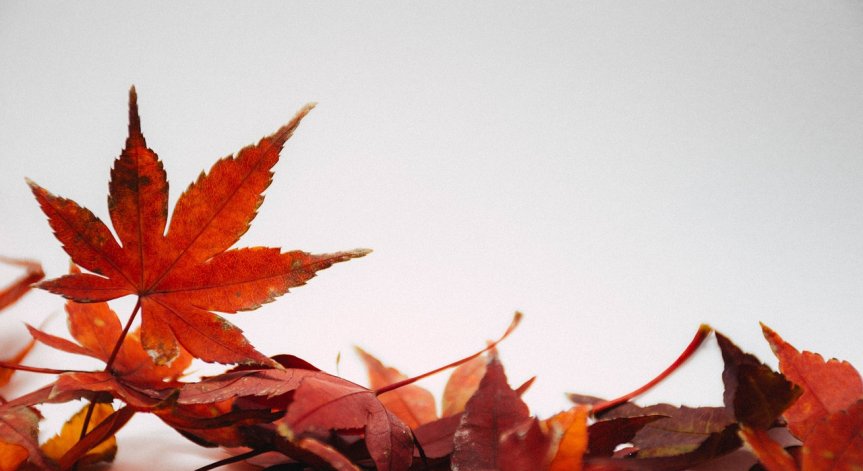 Предупреждение за силен вятър за Западна България, жълт код за някои области