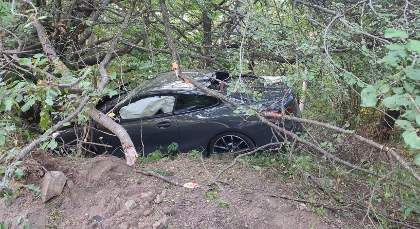 Помните ли казнал на едно дърво, пише в коментар към снимките.