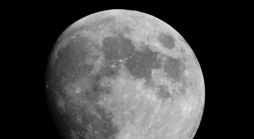 Лавракът става част от нов подход към устойчивото оцеляване в Космоса.