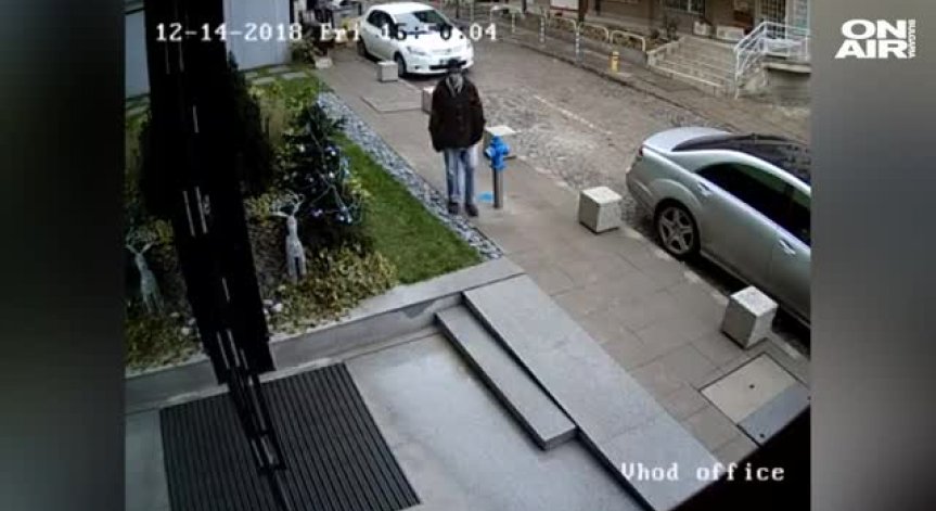 Кражба на фигурка на еленчето Рудолф пред сграда в столицата разбуни социалните мрежи