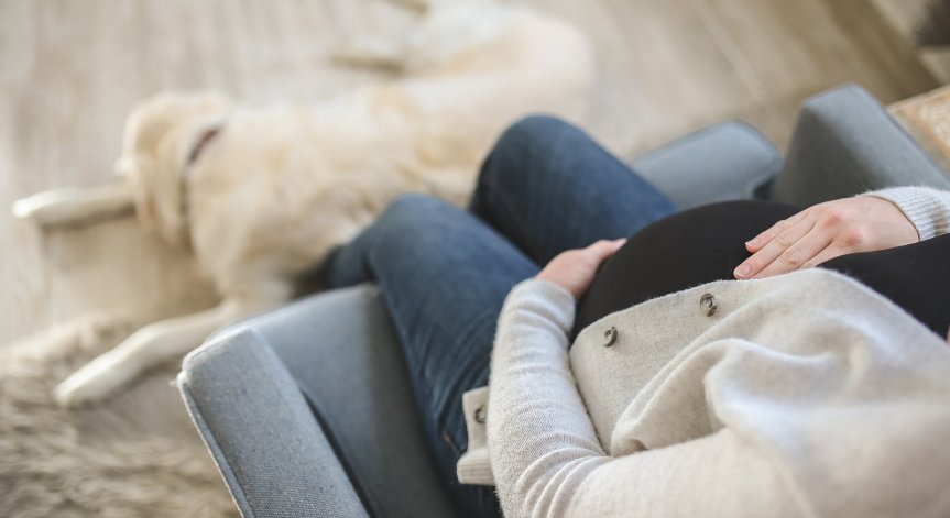 Няколко съвета при планиране на бременност