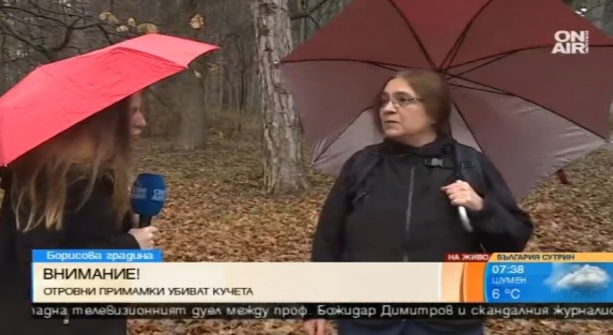 Отровни примамки убиват кучета в 