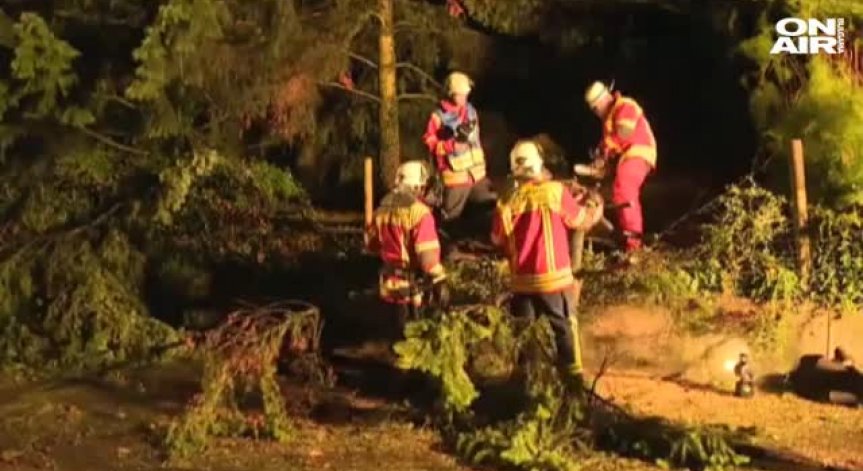 Мълния събори дърво върху палатков лагер в Германия и уби дете 