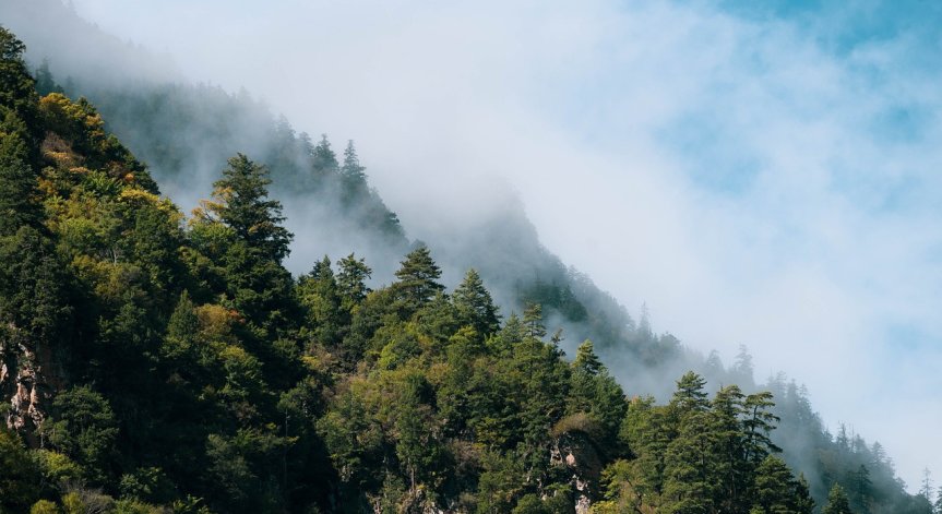 Украинки се изгубиха в гората над Смолян, откриха ги премръзнали