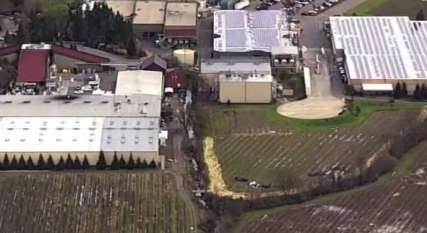 Над 300 000 литра вино се разляха в калифорнийска река 