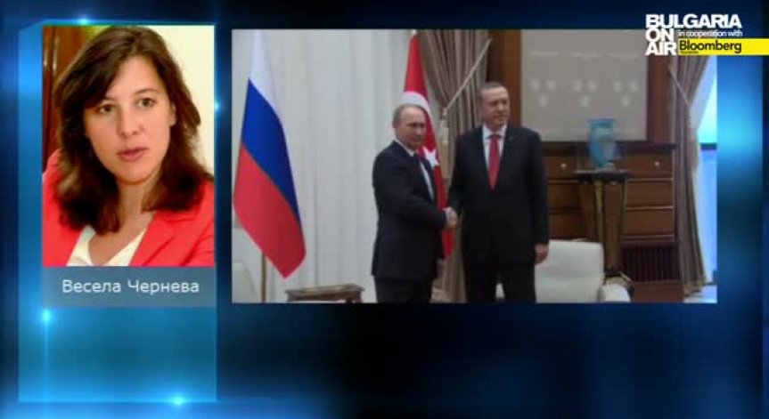 Весела Чернева: Естествено е Путин да търси икономически съюзници като Турция