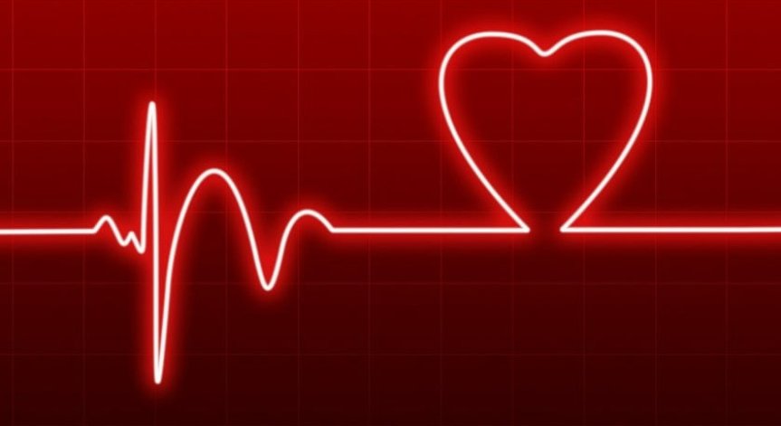Сърцето регулира честотата и функционирането си в зависимост от метаболитните нужди на организма.