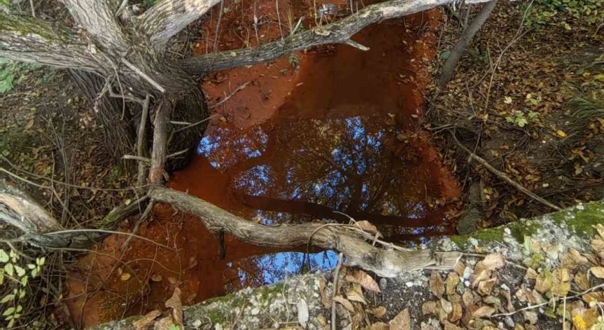 Извършен е обход по поречието на река Струма.