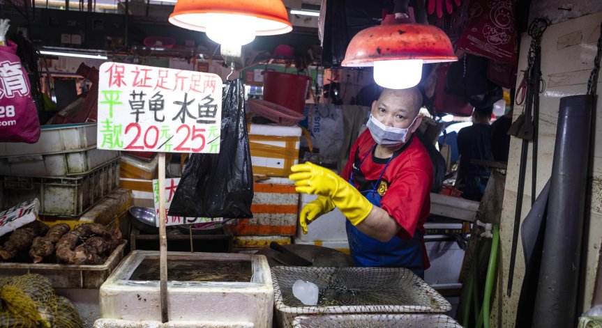 СЗО: Спрете продажбата на диви животни на хранителните пазари 