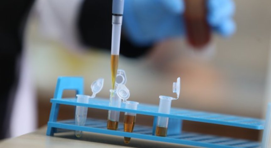 Антителата срещу коронавирус се запазват поне 9 месеца след заразяването