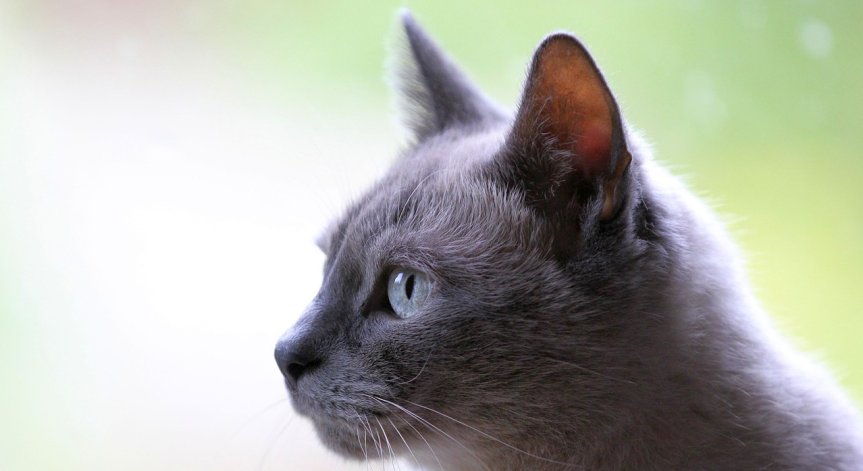 Апел до институциите за реални действия.