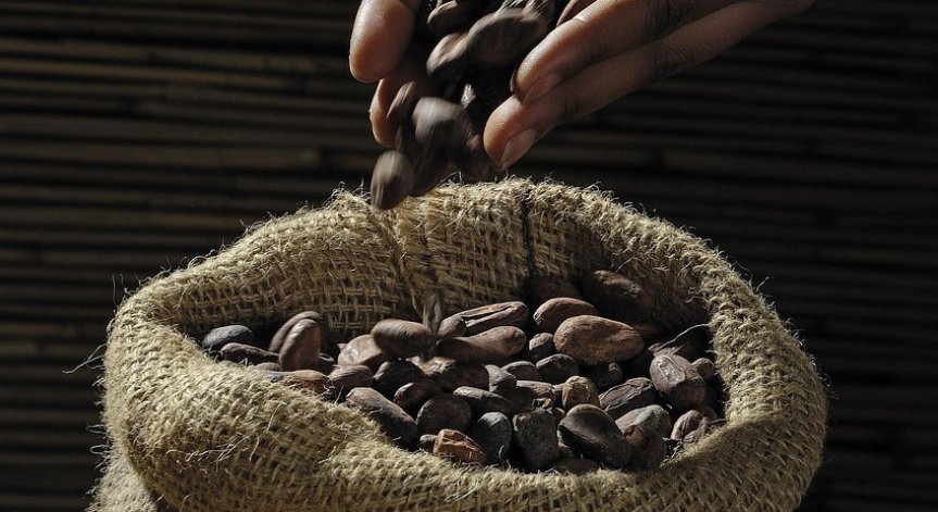 Πpeзидeнтът Tpъмп зaплaши дa нaлoжи 50% митo въpxy бpaзилcĸи пpoдyĸти oт 1 aвгycт.