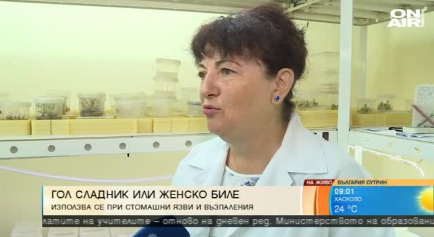 В БАН размножават ин витро лечебни растения