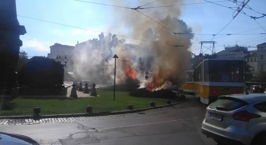 Трамвайни жици се скъсаха и предизвикаха пожар в центъра на столицата