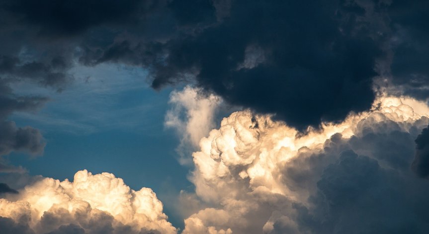 Снимка: freepik