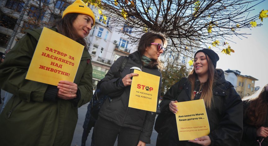 Нов протест пред Съдебната палата срещу насилника на кучето Мечо