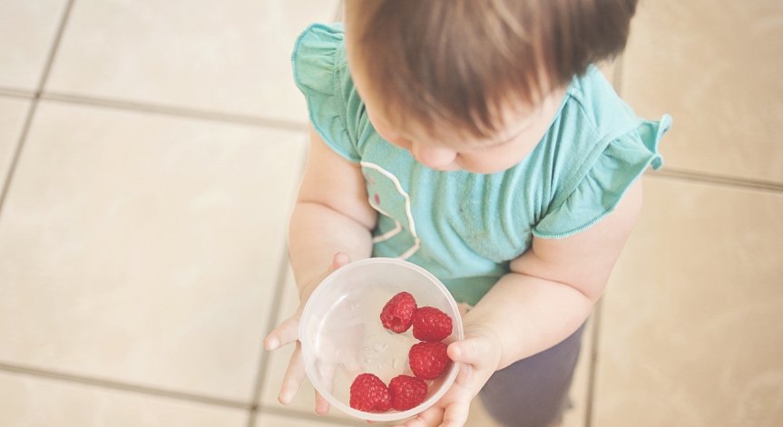 БАБХ провери 2400 детски градини с какво хранят подрастващите