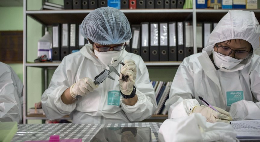 След няколко години ще разберем как се е появил Ковид-19