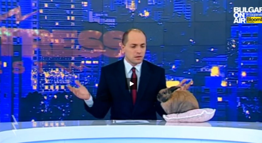 Stress Test, 1 ноември 2014 част 1