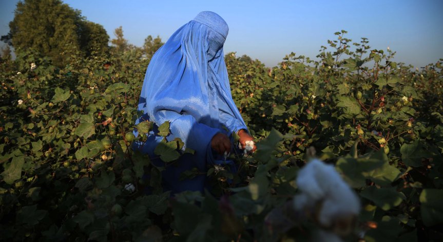 По законите на шериата: Жените имат право да работят, където решат в Афганистан