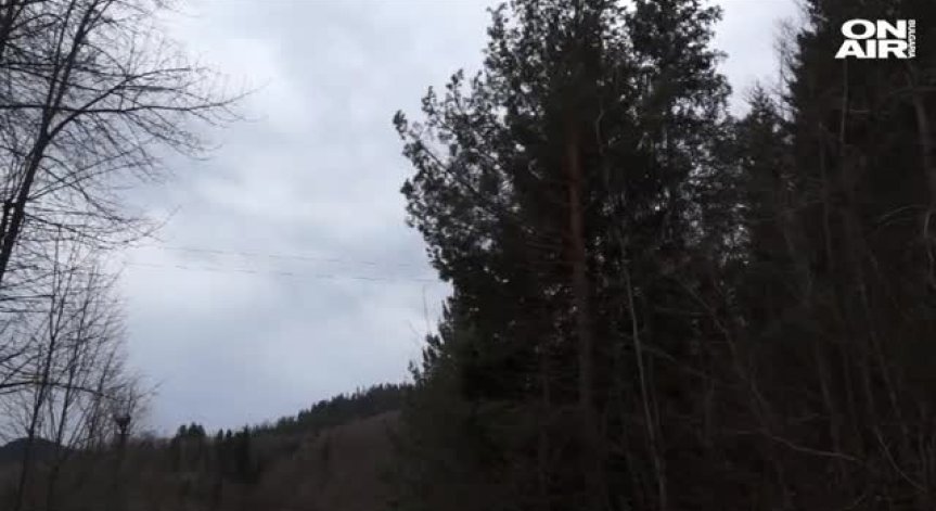 В 17 области на България днес ще има силен вятър