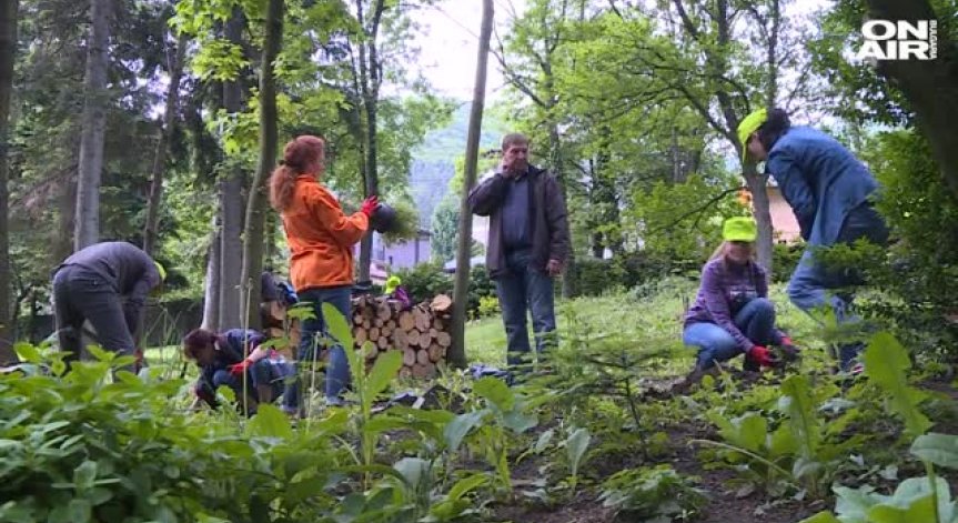 250 доброволци облагородиха района около Боянската църква