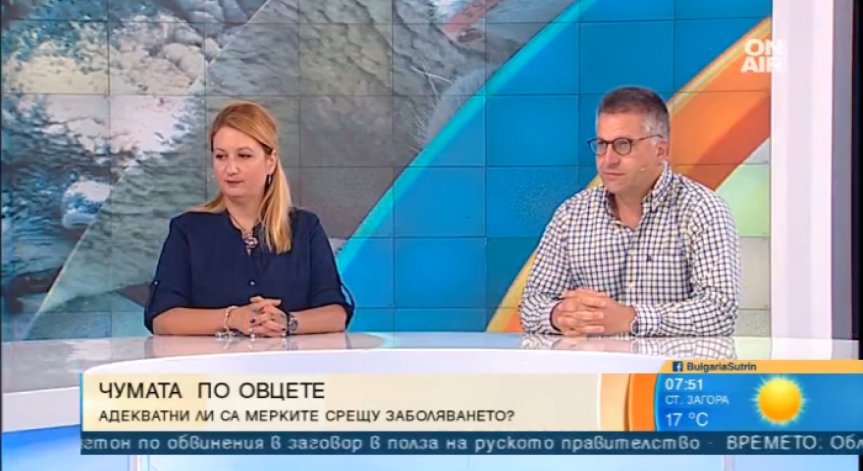 Чумата в Ямболско: Наказателна акция с прибързани мерки?