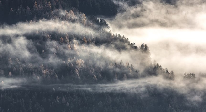 Тих преход към зимата – мъгливо и с температури до 13 градуса