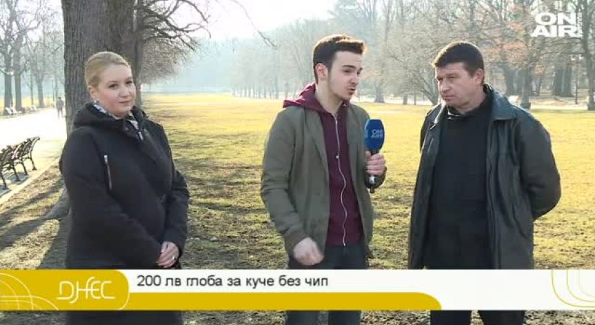 Какво да очакват стопаните на кучета? Нов закон и глоби за немаркирани животни