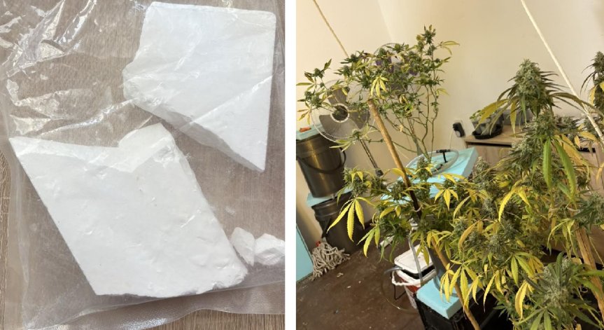 Полицията разби наркооранжерия и задържа четирима дилъри в София