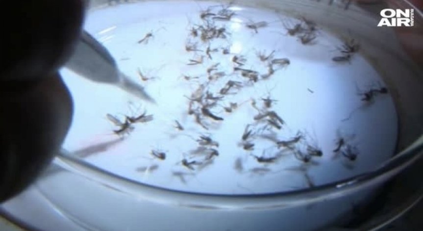 Вирусът Зика плъзна и в Словакия