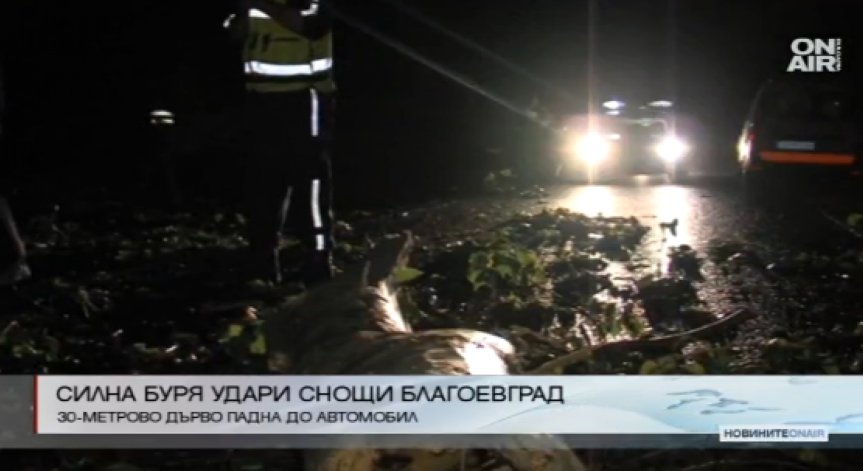 Топола се стовари опасно близо до автомобил