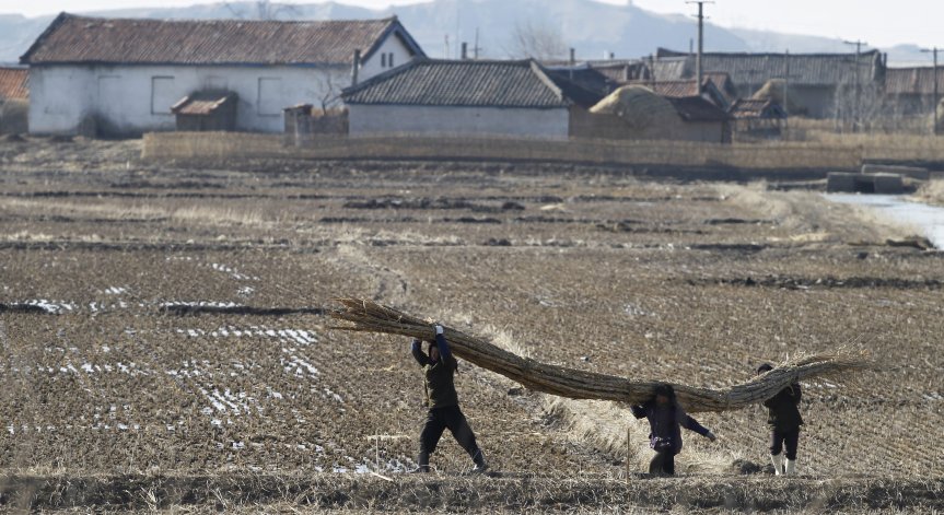 Тревожно: Близо 50% в КНДР страдат от недохранване, деца са със забавено развитие