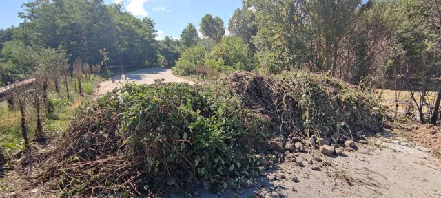 Снимка Bulgaria ON AIR Повече от 70 специализирани машини и